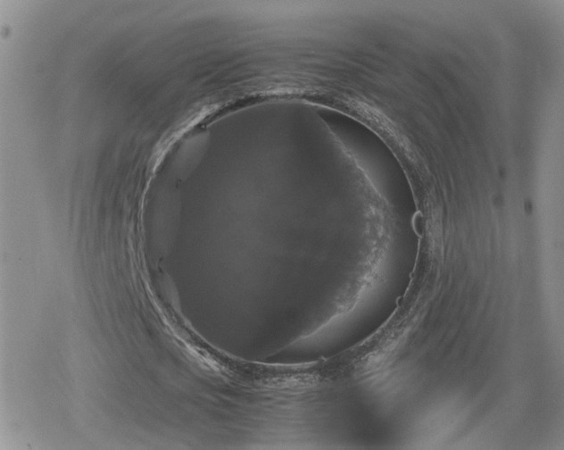 X0000078840721200611201312