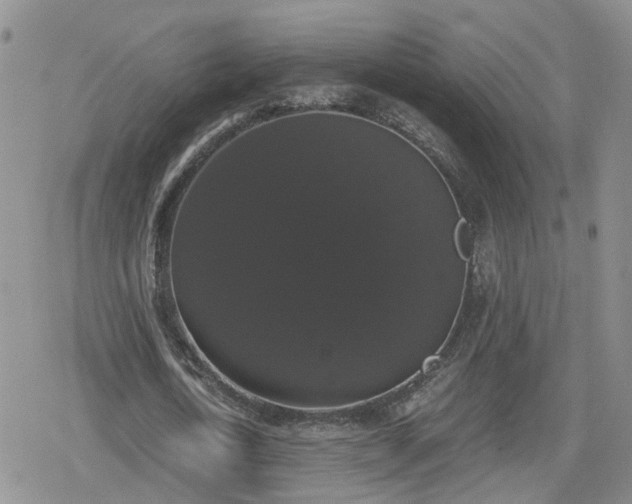 X0000078840722200611201312