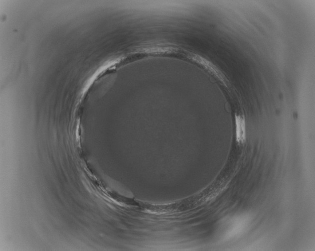 X0000078840723200611201312