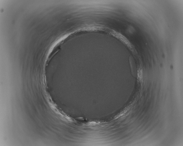 X0000078840724200611201312