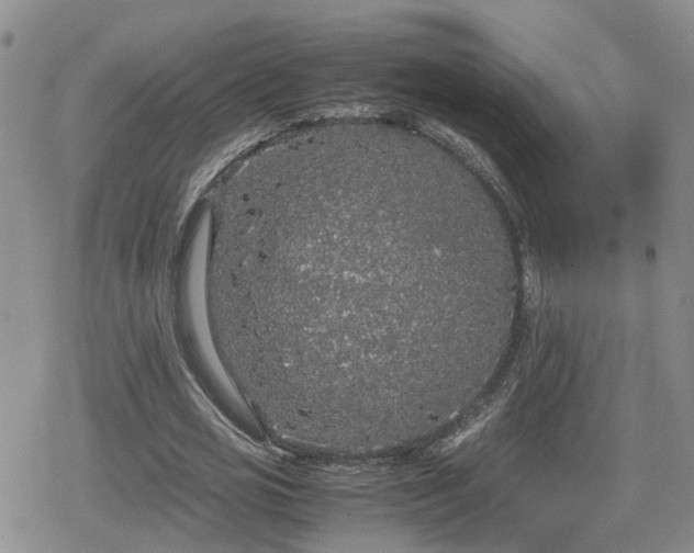 X0000078840725200611201312