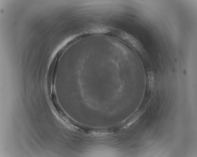 X0000078840726200611201312