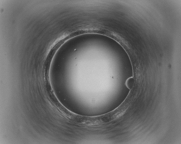 X0000078840727200611201312