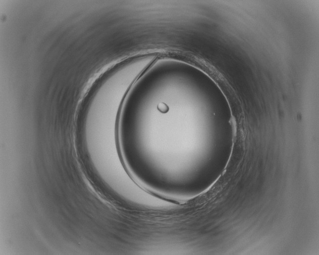 X0000078840728200611201312