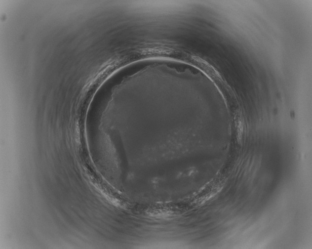 X0000078840729200611201312