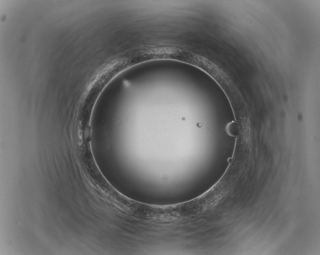 X0000078840731200611201312