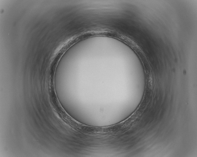 X0000078840732200611201312