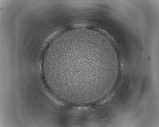 X0000078840733200611201312