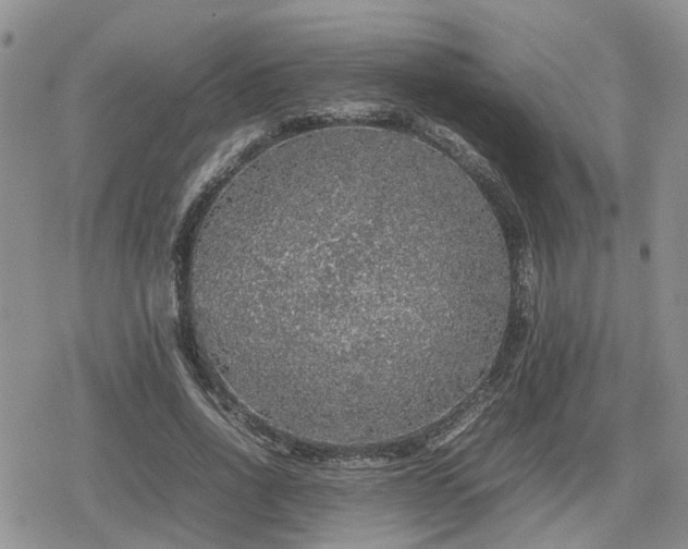 X0000078840734200611201312