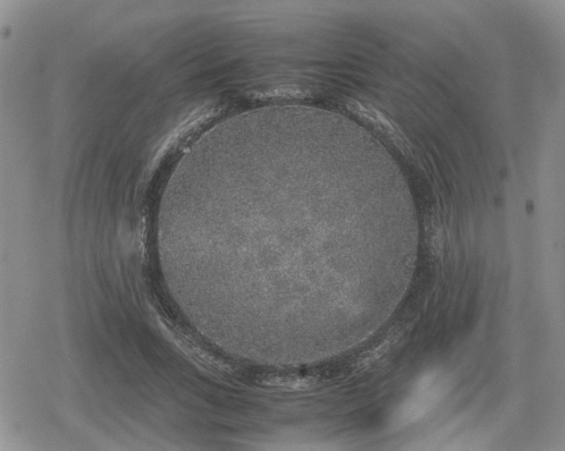 X0000078840735200611201312