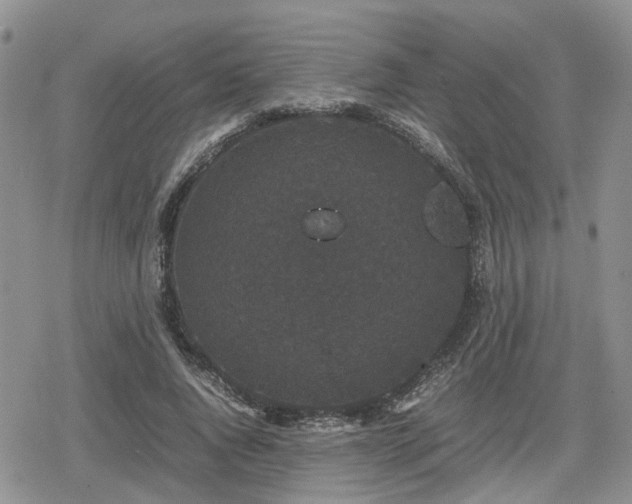 X0000078840736200611201312