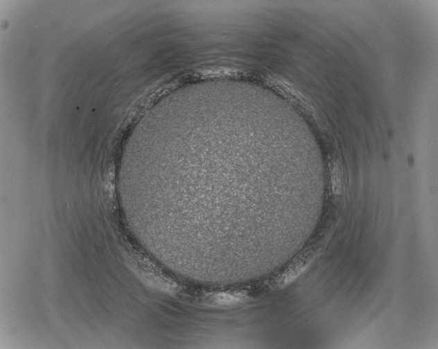 X0000078840737200611201313