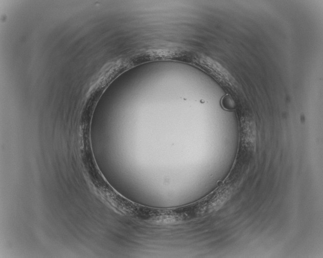 X0000078840738200611201313