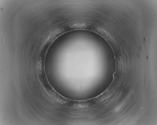 X0000078840739200611201313