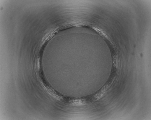 X0000078840740200611201313