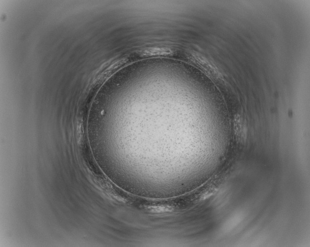 X0000078840741200611201313