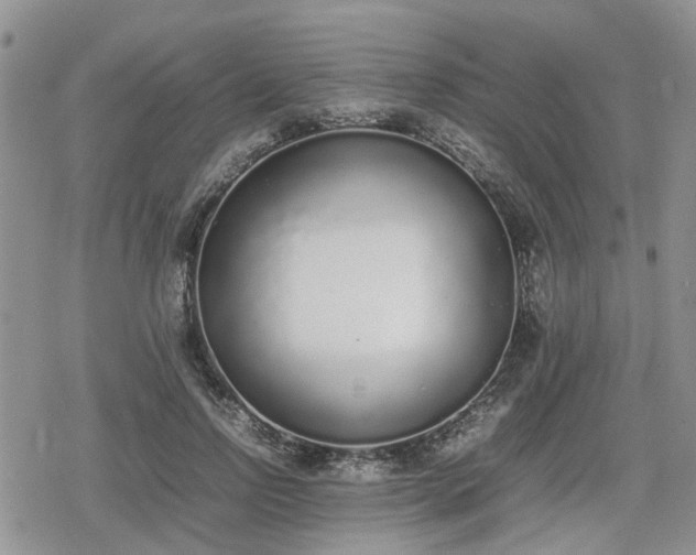 X0000078840742200611201313