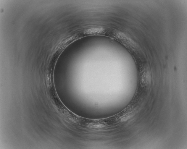 X0000078840743200611201313