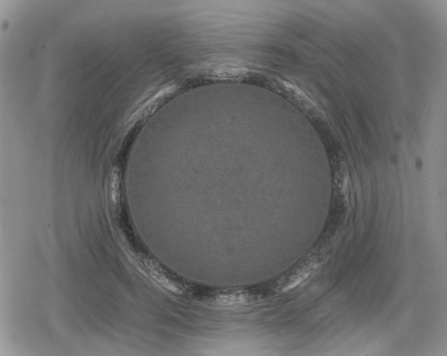 X0000078840744200611201313