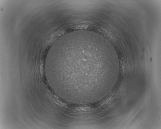 X0000078840745200611201313