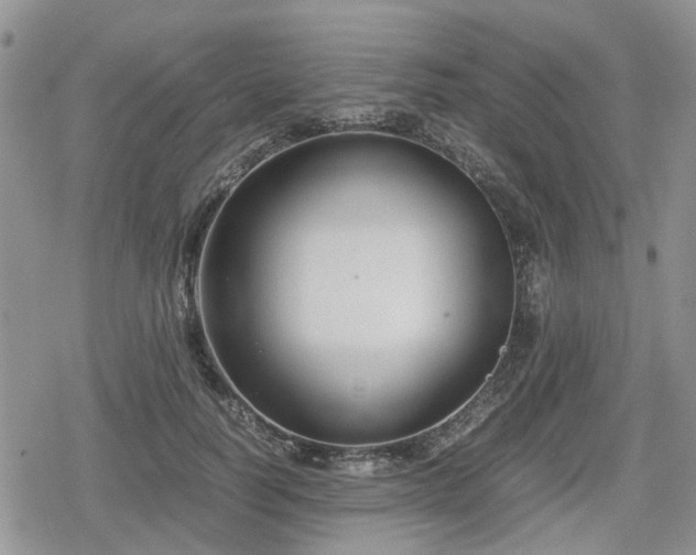 X0000078840746200611201313