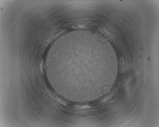 X0000078840747200611201313