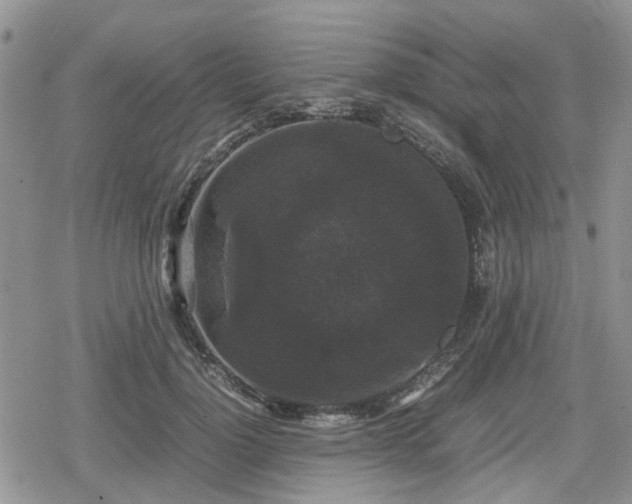 X0000078840748200611201313