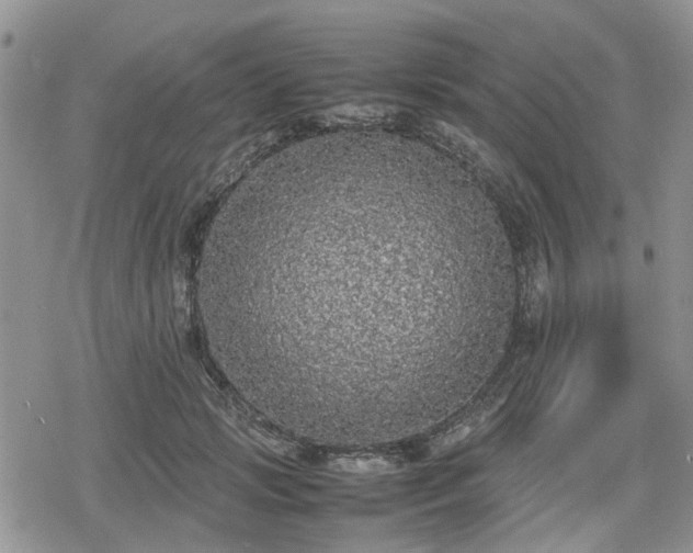 X0000078840749200611201313