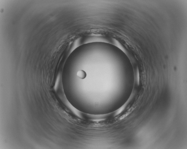 X0000078840750200611201313