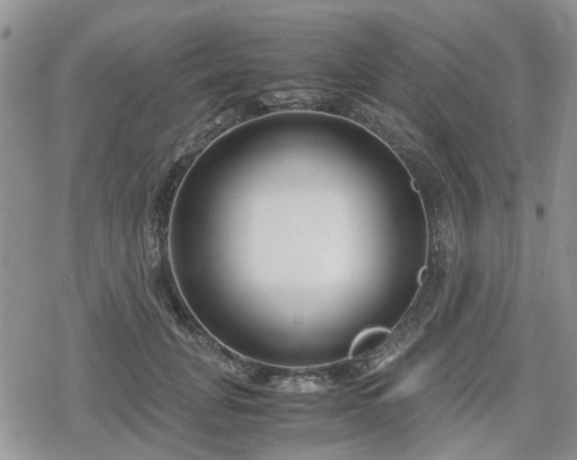 X0000078840751200611201313