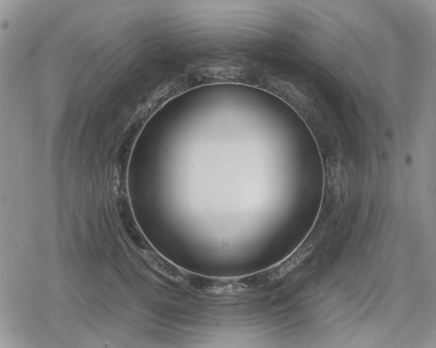 X0000078840752200611201313