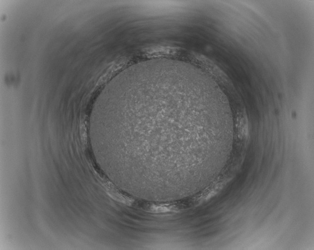 X0000078840753200611201313