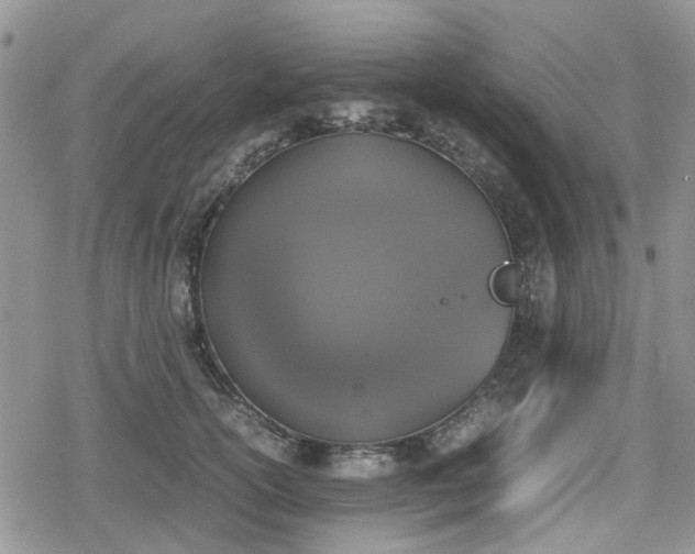 X0000078840754200611201313