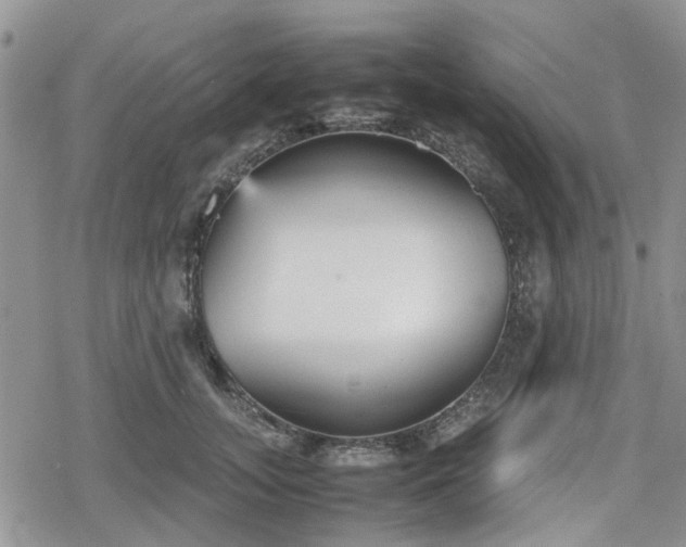 X0000078840755200611201313