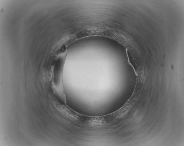 X0000078840756200611201313