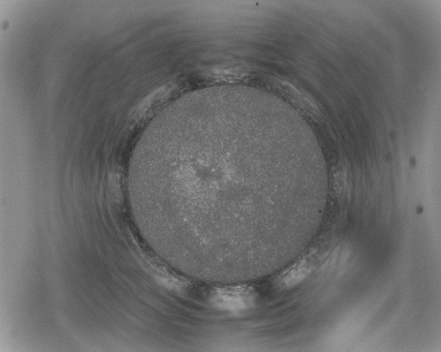 X0000078840757200611201313