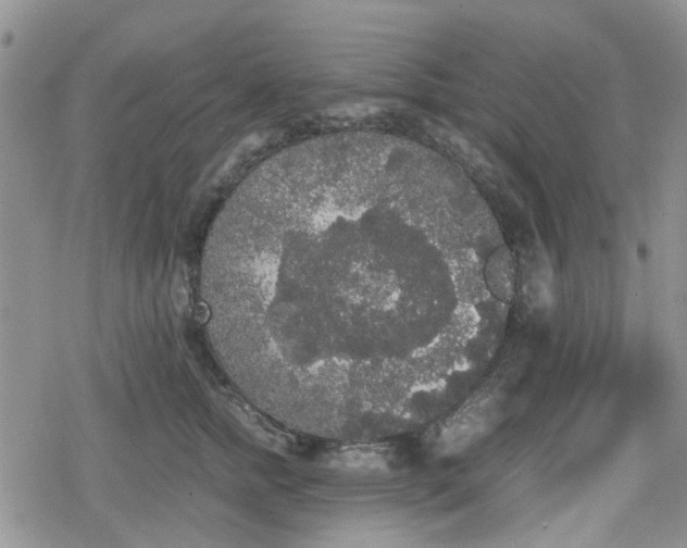 X0000078840758200611201313