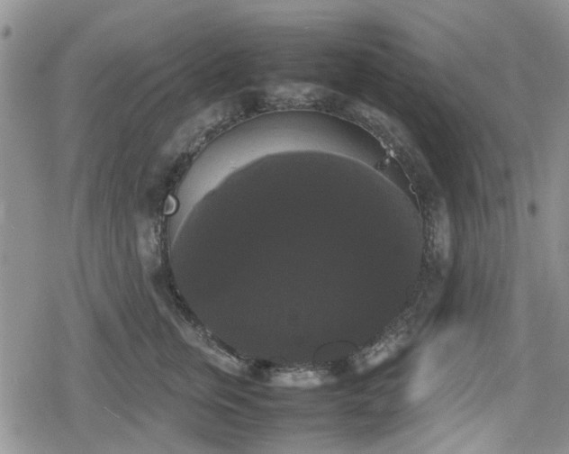 X0000078840759200611201313