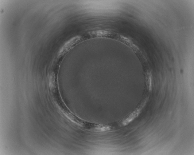 X0000078840760200611201313