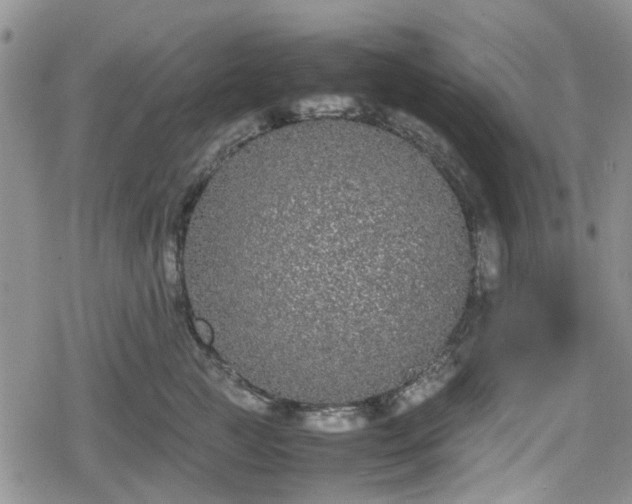 X0000078840761200611201313