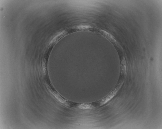 X0000078840762200611201313