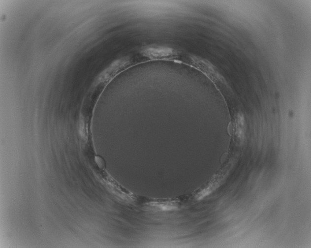 X0000078840763200611201313