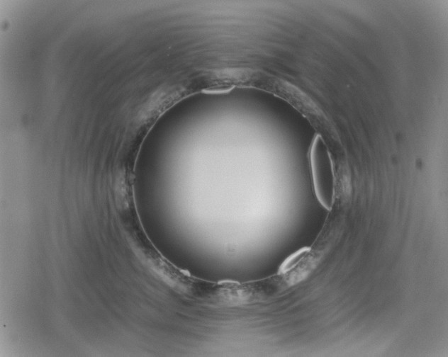 X0000078840764200611201313