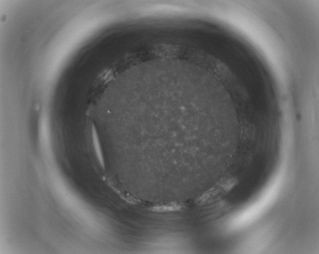 X0000078840765200611201313