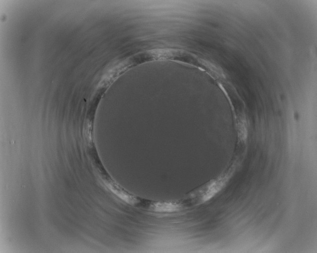 X0000078840766200611201313