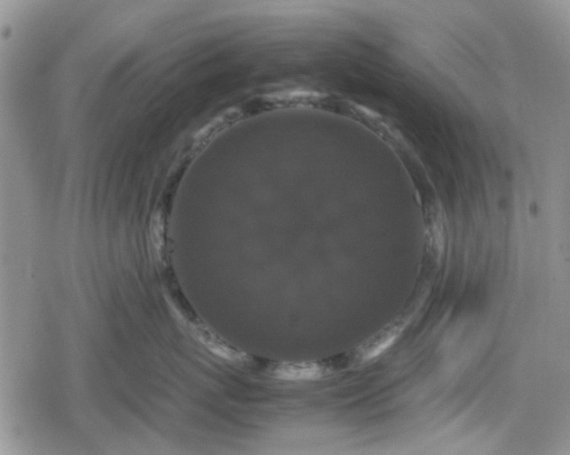 X0000078840767200611201313