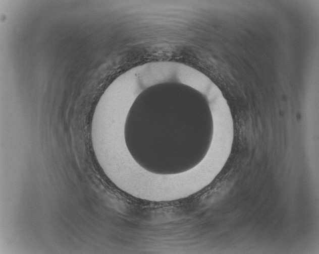 X0000078840769200611201312