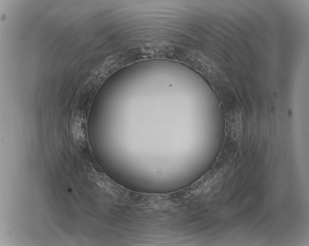 X0000078840770200611201312