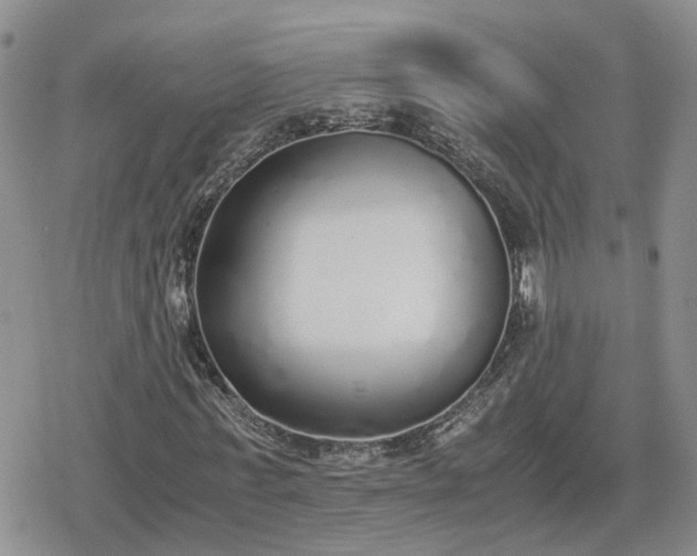 X0000078840771200611201312