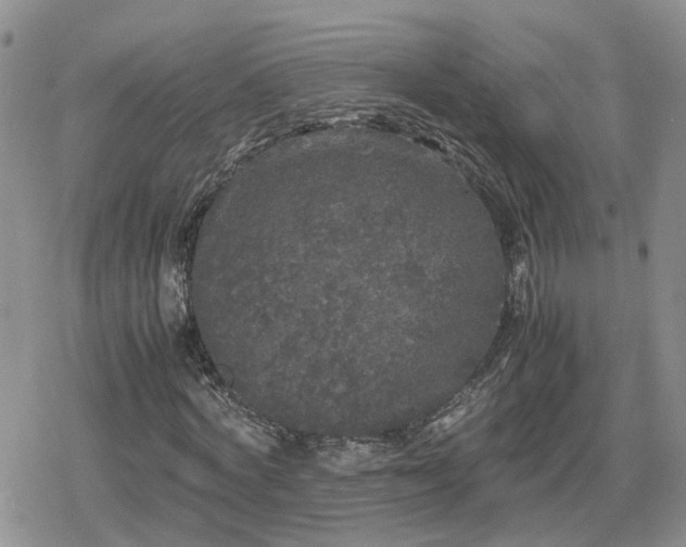 X0000078840772200611201312